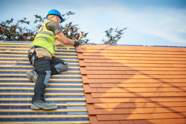 Best Chimney Flashing Repair  in Humble, TX